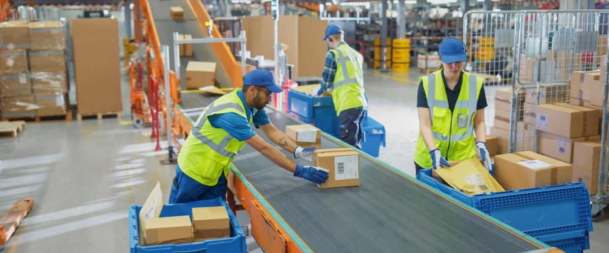 Warehouse movers in UAE